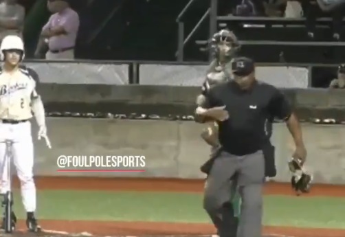 Umpire se vuelve viral tras detener partido para vomitar (Twitter @FoulPoleSports)