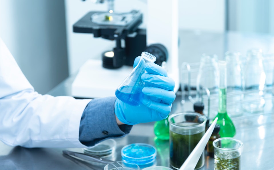 ExpoCiencias Durango-Coahuila 2019 abre su convocatoria para alumnos de prescolar hasta universidad. (Cortesía Pexels)