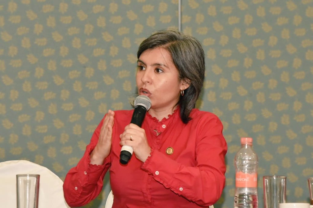 La diputada Wendy Briceño Zuloaga/Especial.