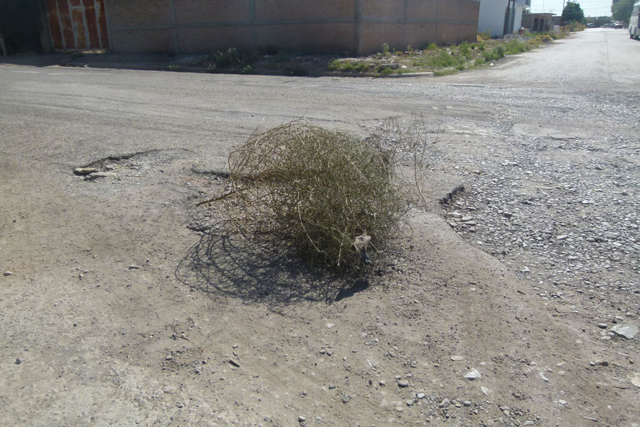 Los baches aumentaron con las recientes lluvias, debido a que en este sector se acumula el agua y daña al pavimento. (Sergio Guajardo)