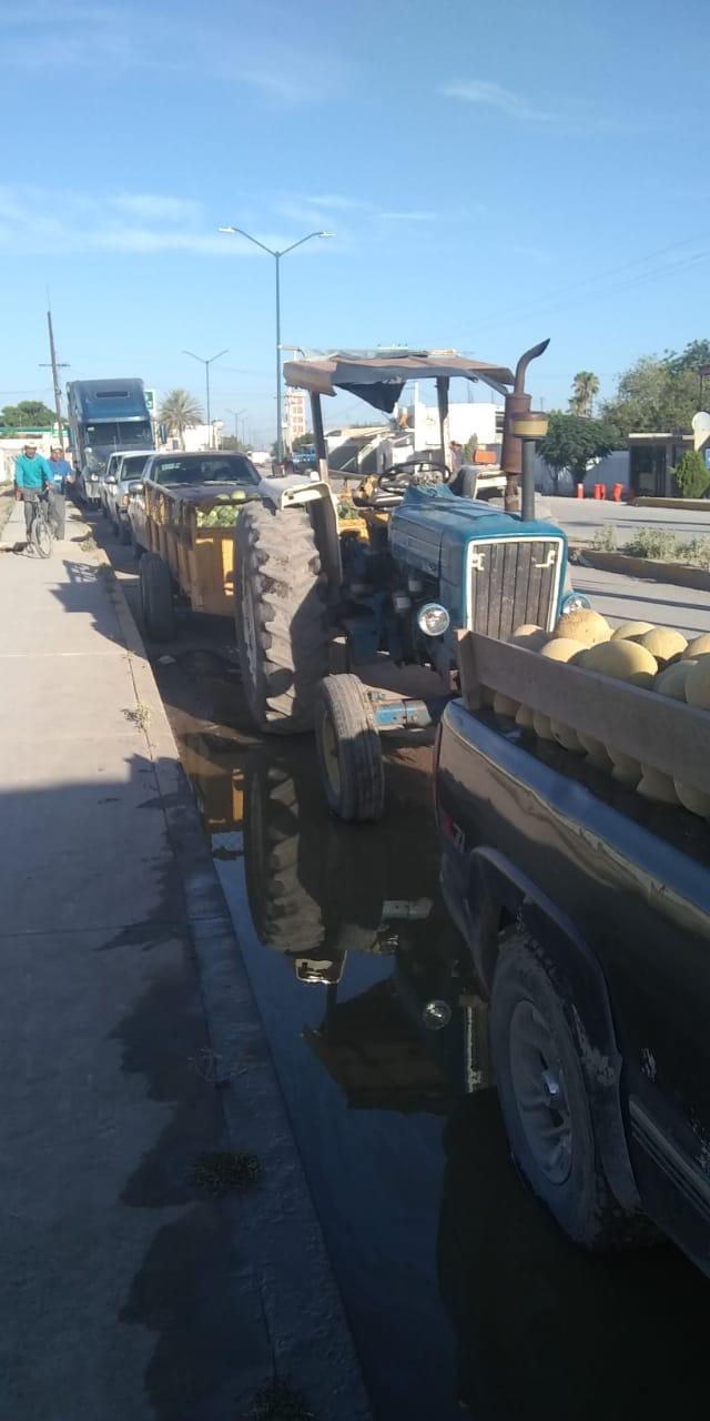 El precio del melón debería cotizarse en los 3 pesos, con 50 centavos por kilogramo. (Especial)