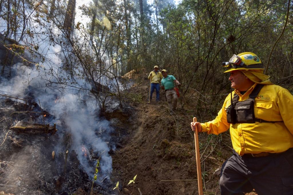 Brigadistas de Conafor combaten un incendio en el Valle de Potrero, Acazulco, en el Estado de México (Cuartoscuro)