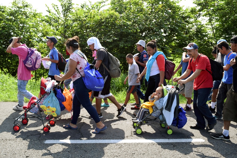 Muchos migrantes que están sin autorización en el país ya están inscritos. (AP)