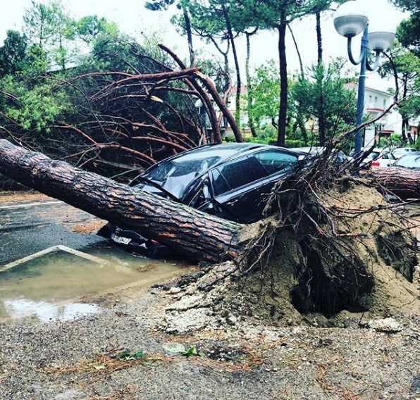 Los servicios de emergencia de los hospitales de la zona atienden a unas 18 personas que resultaron con heridas leves. Twitter