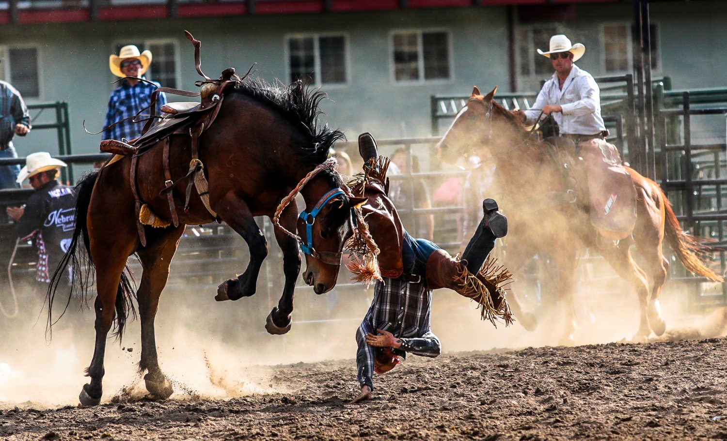 Estados Unidos. Un competidor es expulsado de su caballo mientras participa en el Bareback Bronc Riding en Colorado. (AP)