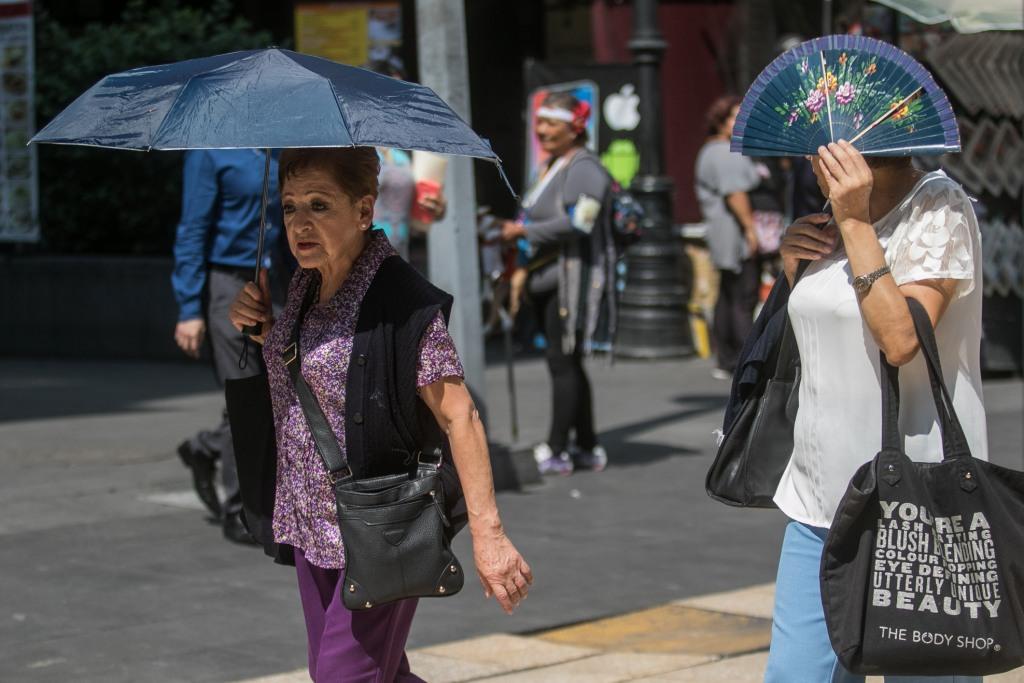 Este año, el fenómeno se podría presentar en Chiapas, Tabasco, Veracruz, Tamaulipas, las costas de Oaxaca y Guerrero. Cuartoscuro