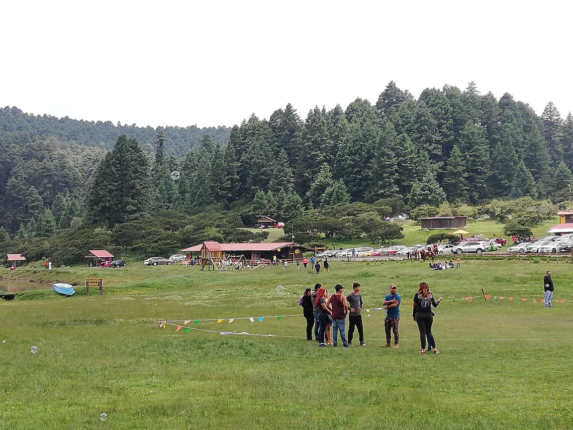 Una convocatoria ciudadana llevó a reforestar hectáreas dañadas en El Cerezo en Pachuca. (Alejandro Reyes)