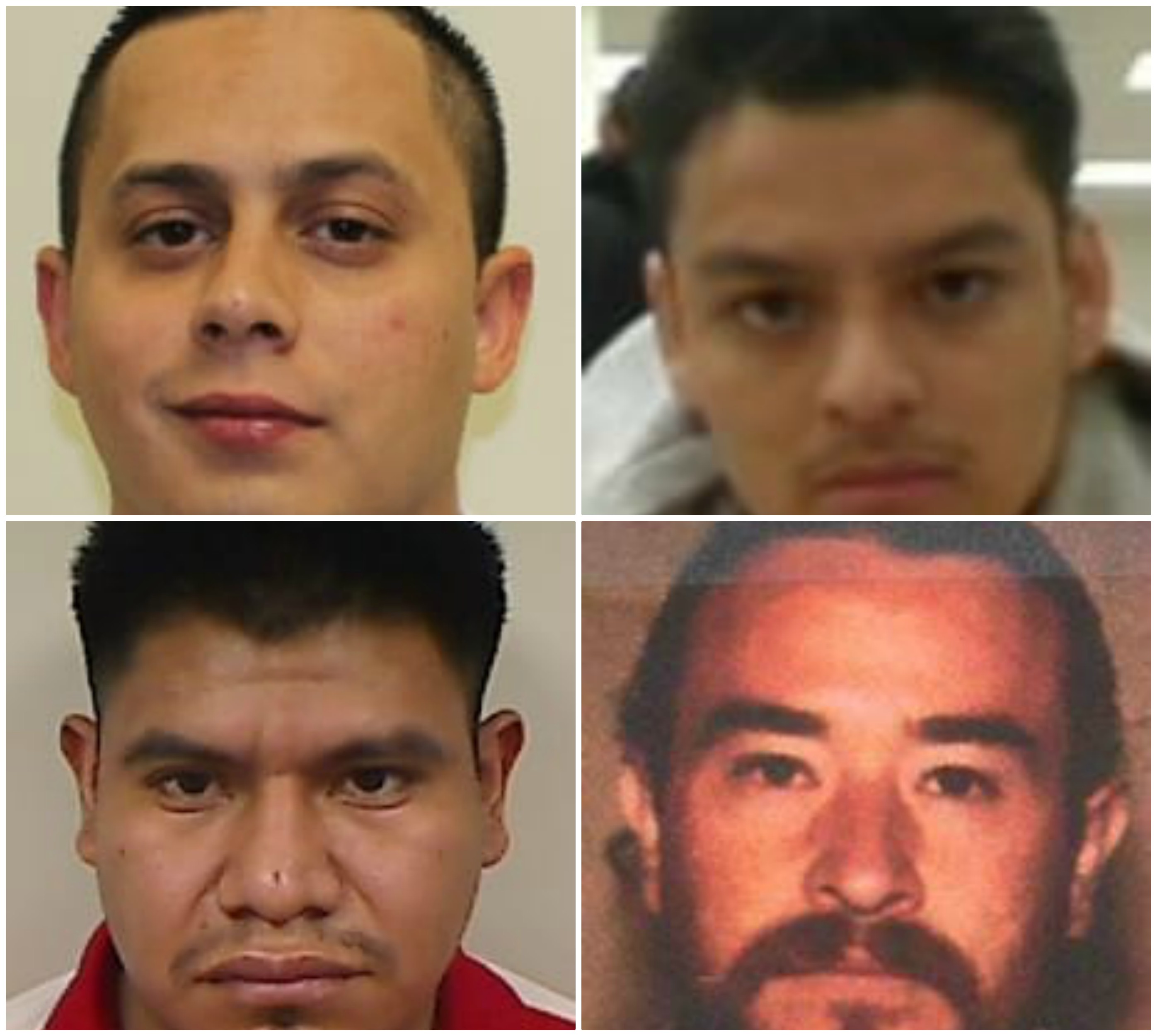 Los mexicanos son buscados por diferentes delitos. (ICE)