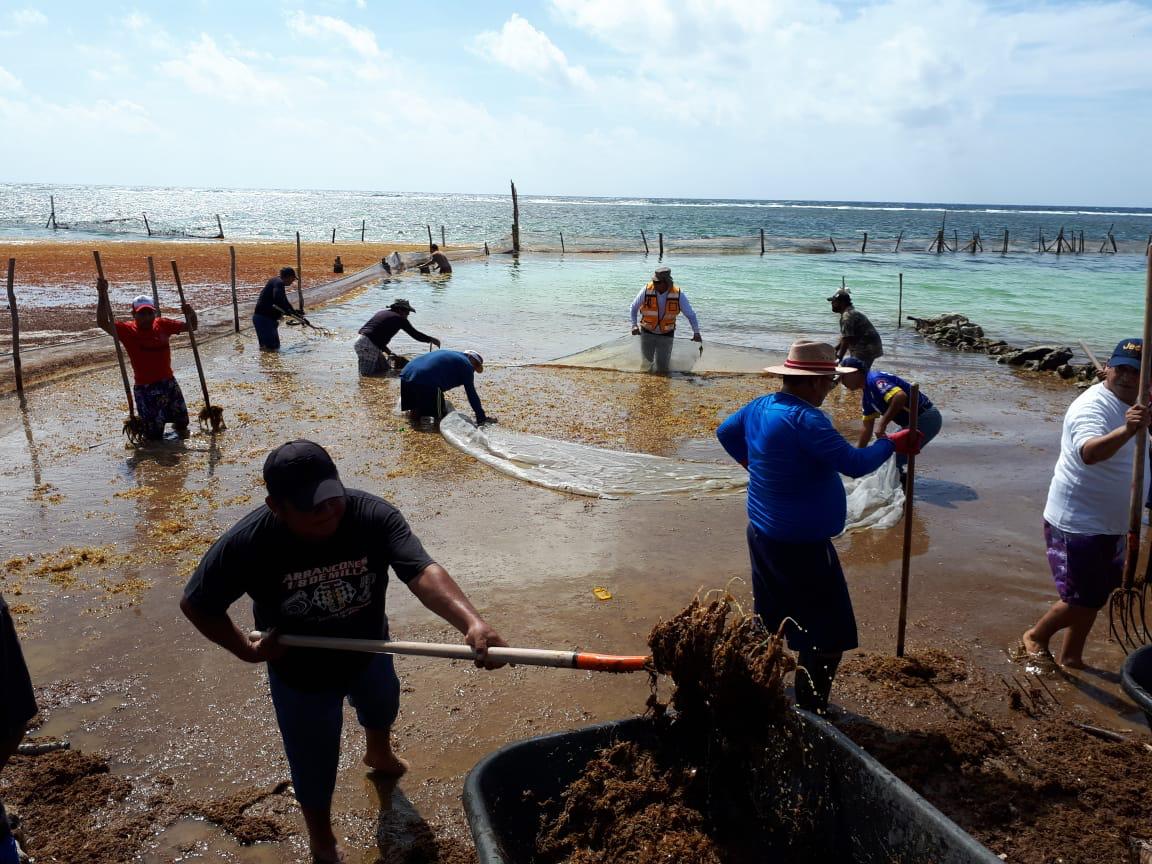 Los trabajos se realizaron en Puerto Morelos y Mahahual./ Especial