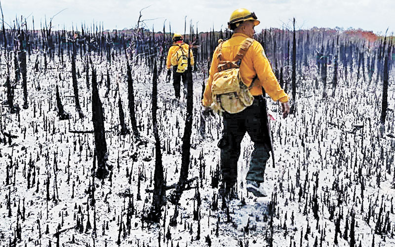 Brigadista recorre la zona afectada. (Especial)