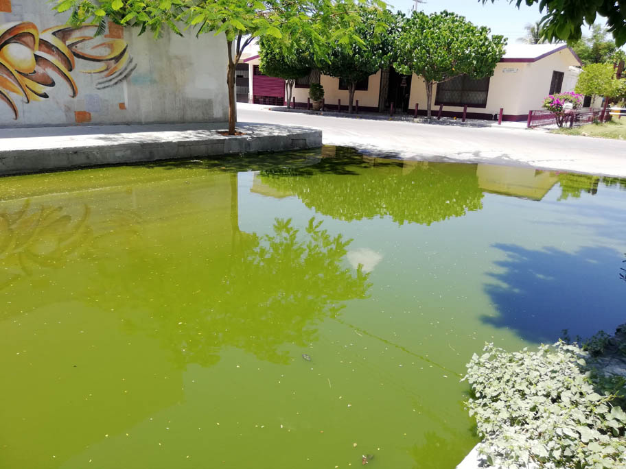 Comentan que cerca existe un parque de juegos donde los niños juegan. (Brenda Valles)