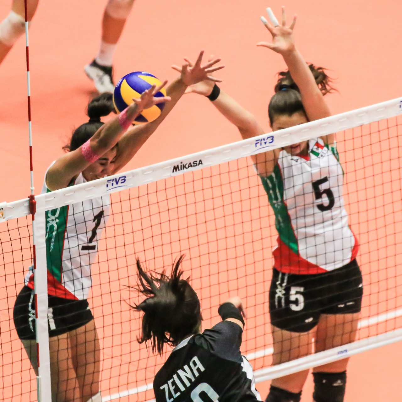 Mundial de  Voleibol