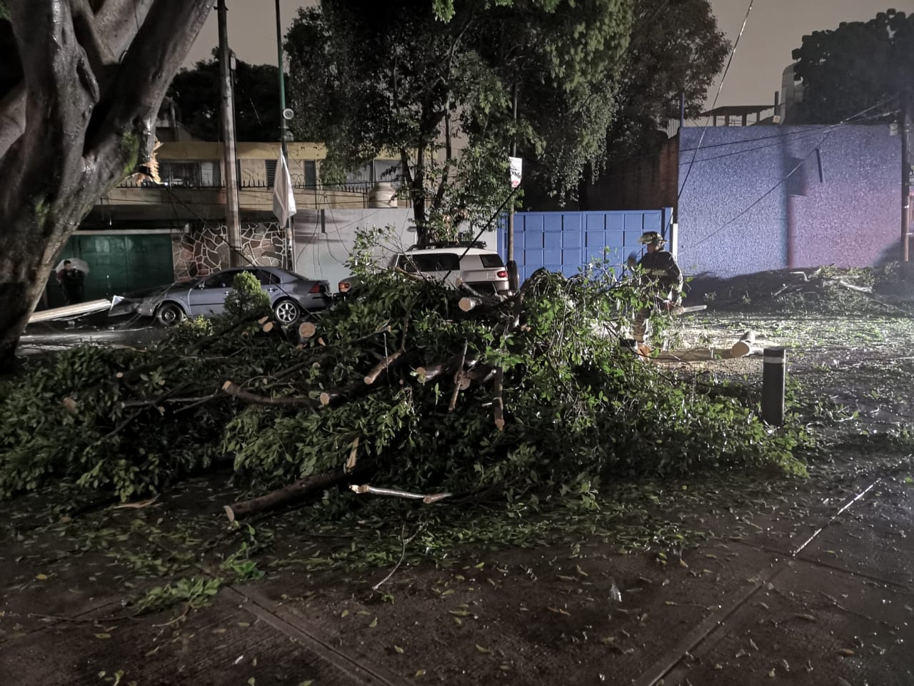 Un árbol cayó en calles de la colonia Del Valle sin que se registraran lesionados. (Jorge Becerril)