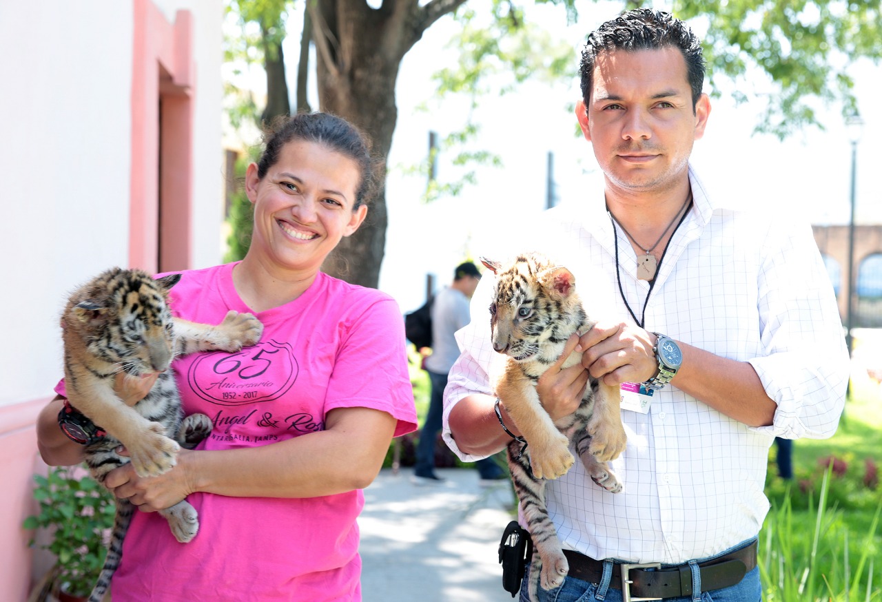 Los horarios para visitar el zoológico son de 10:00 a 18:00 horas. (Especial)