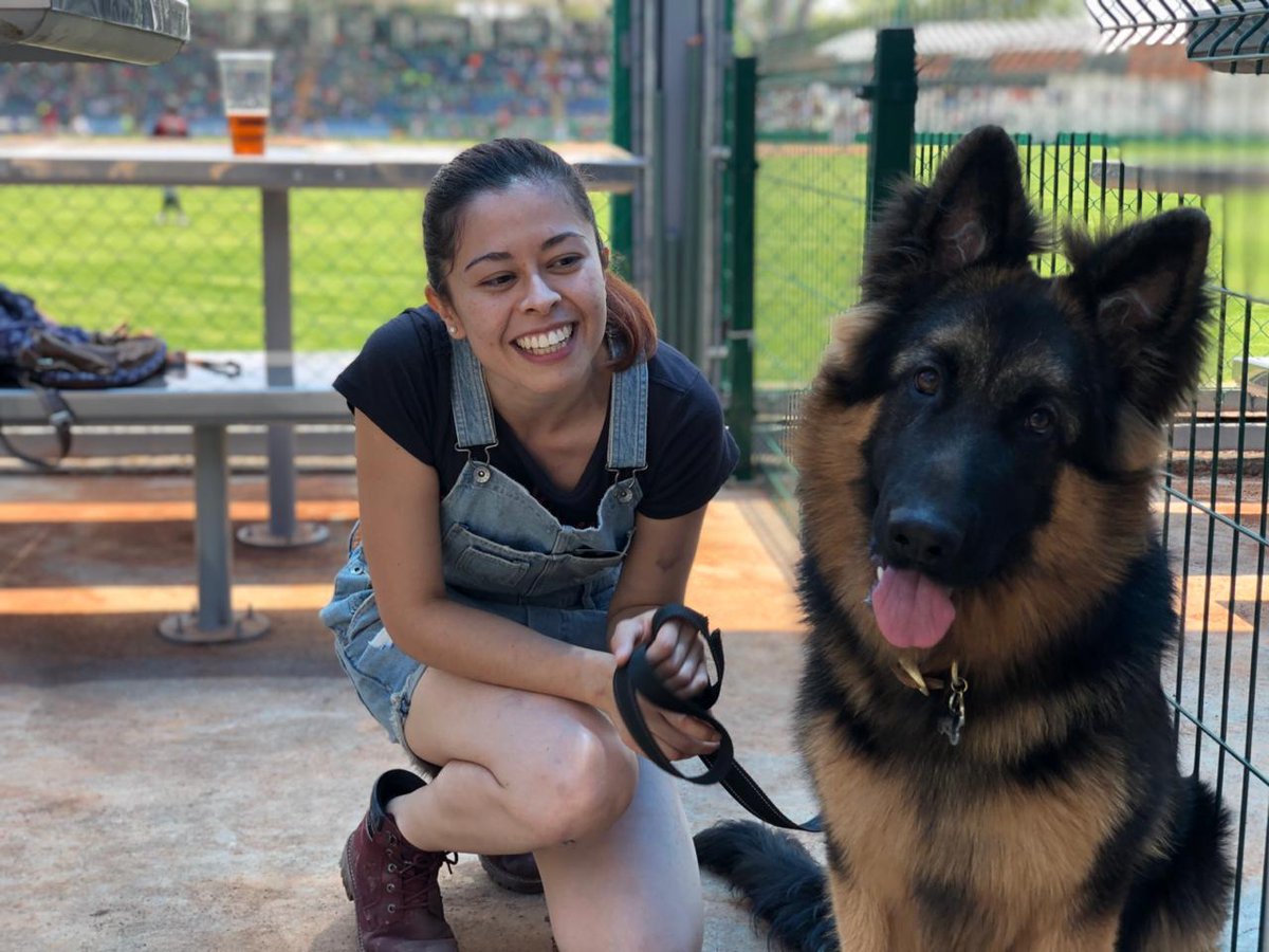 LMB celebra un día perrón (Twitter @LigaMexBeis)