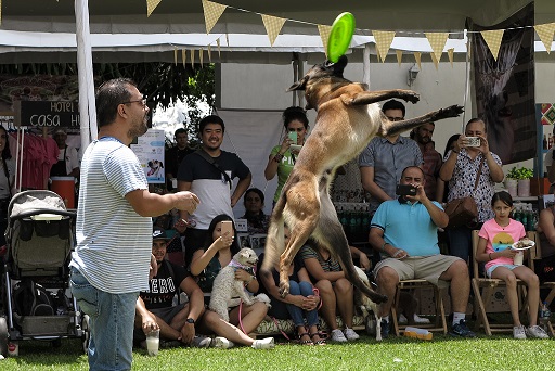 Picnic celebrando el día internacional del perro. (Franco González)
