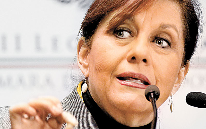 La presidenta de la Comisión para la Igualdad. (Nelly Sallas)