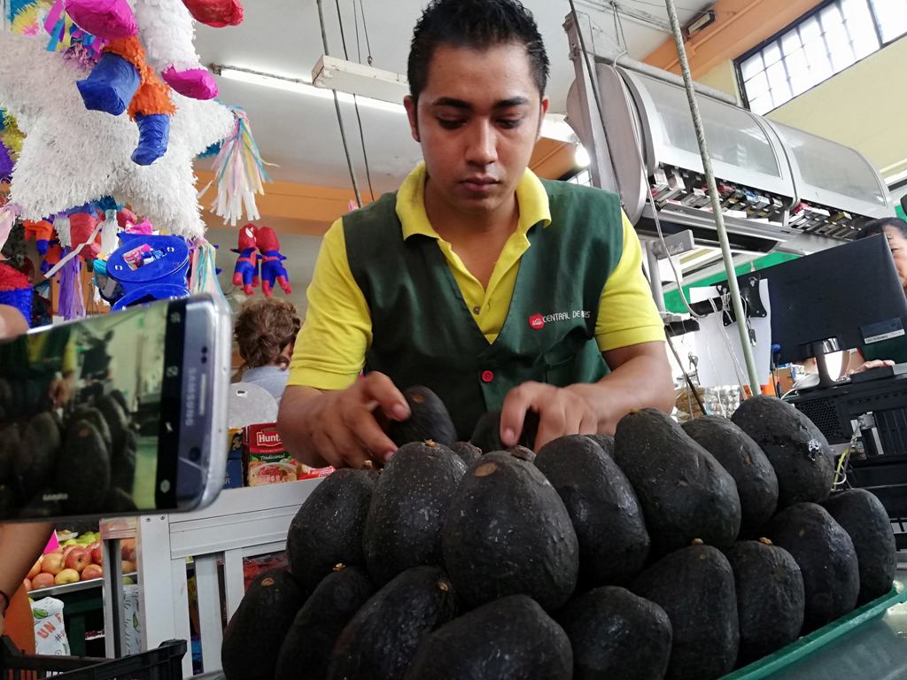 Venta de aguacate. (Pablo Reyes)