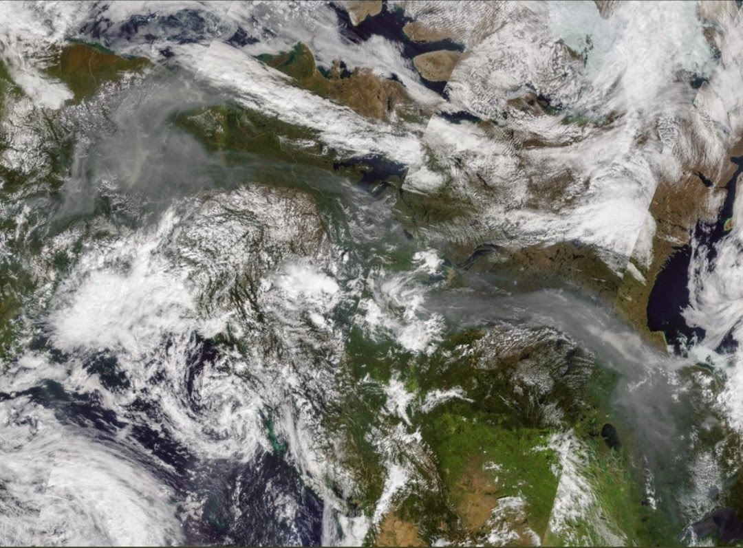 Se están presentado incendios forestales en el Ártico nunca antes vistos. (Twitter Pierre Markuse)