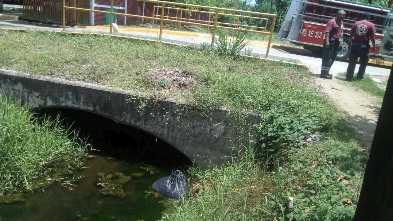 En la bolsa negra se encontraban restos de un perro muerto (Foto/Anahy Meza)