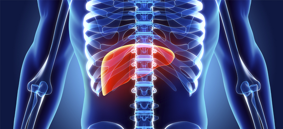 Te decimos qué es la hepatitis, sus tipos, síntomas y tratamientos. (Shutterstock)
