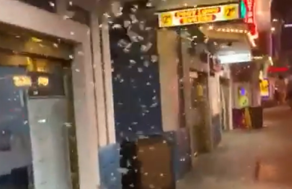 Jeff Knight, un entimólogo del departamento, aseguró que si bien los insectos pueden asustar a muchos, no presentan ningún peligro.