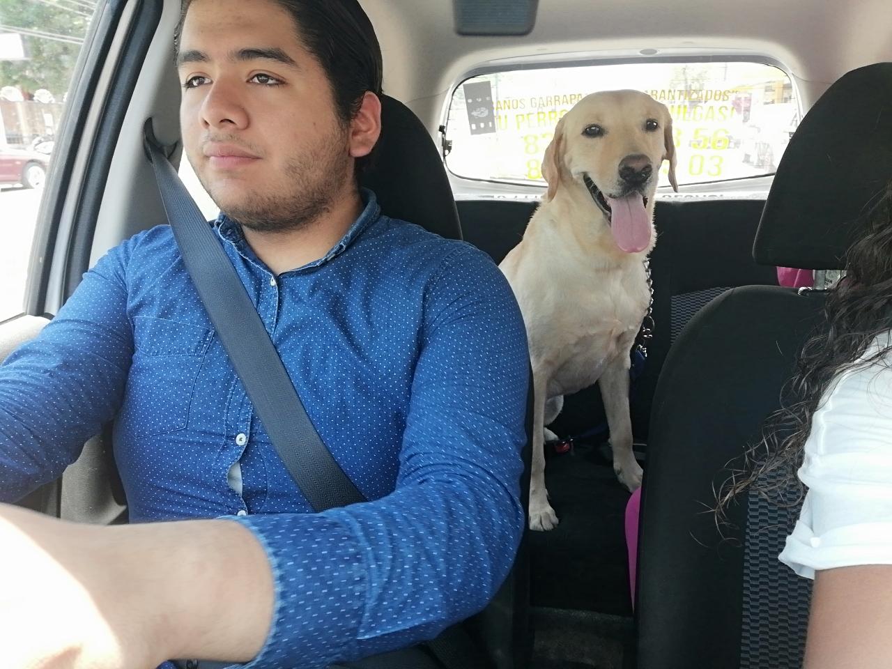 Presentan servicio de taxi para animales en Tampico (Foto/Yazmín Sánchez)