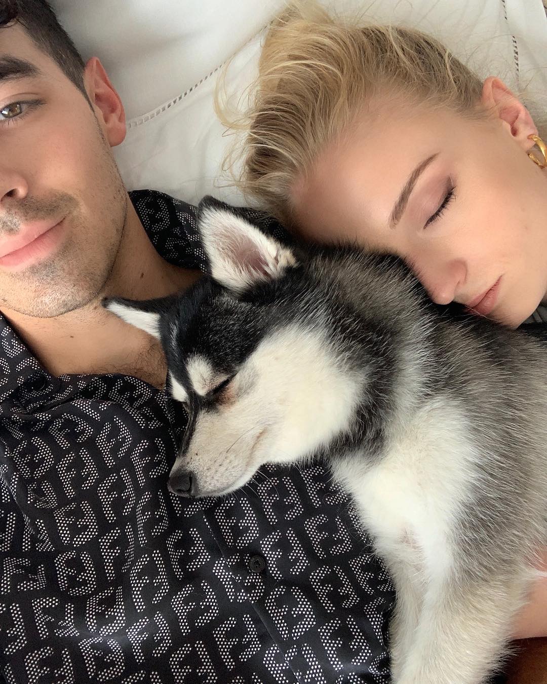 Joe Jonas y Sophie Turner con su perrito (Instagram).