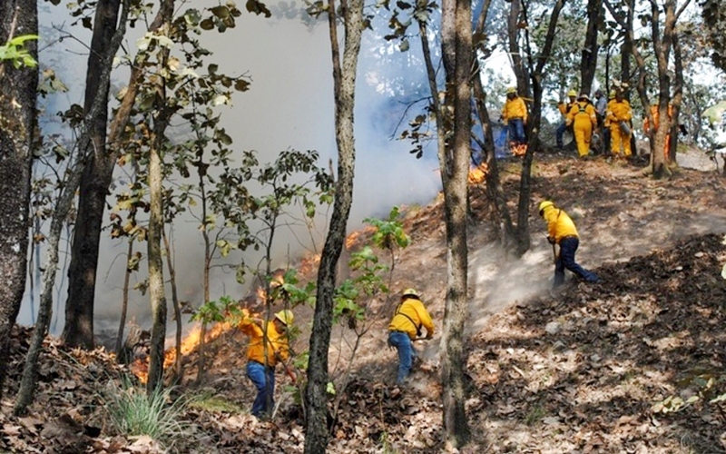 Brigadistas trabajan para apagar un incendio en la Reserva de la Biosfera de Sian Ka'an (Notimex-Especial)