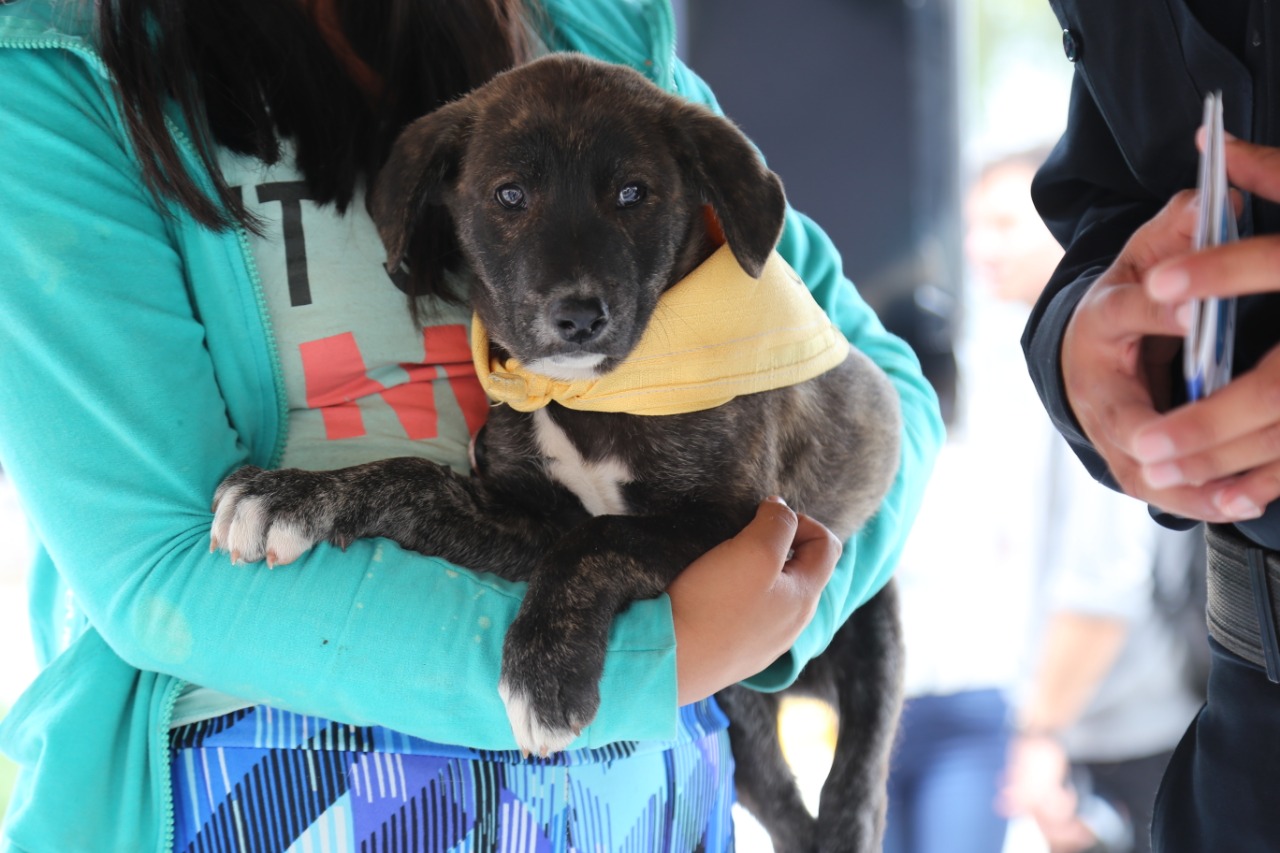 Gus Gus se fue con su nueva familia después de ser adoptado durante el evento en Galerías Pachuca. (Alisson Moreno)