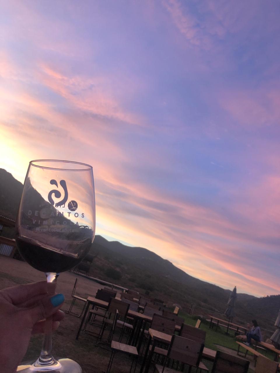 DECANTOS  VINÍCOLAS / FOTO DE VINO EN ATARDECER EN VIÑEDO DE DECANTOS