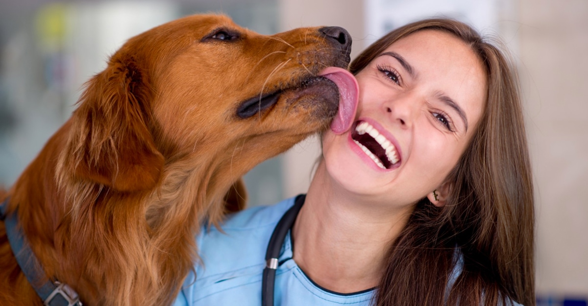 Las lamidas del perro transmitieron una bacteria llamada Capnocytophaga canimorsus. (Especial)