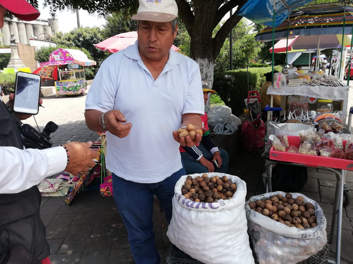 Uno de los 2 mil productores de esta semilla en la Región de los Volcanes. (Zuleyma García)