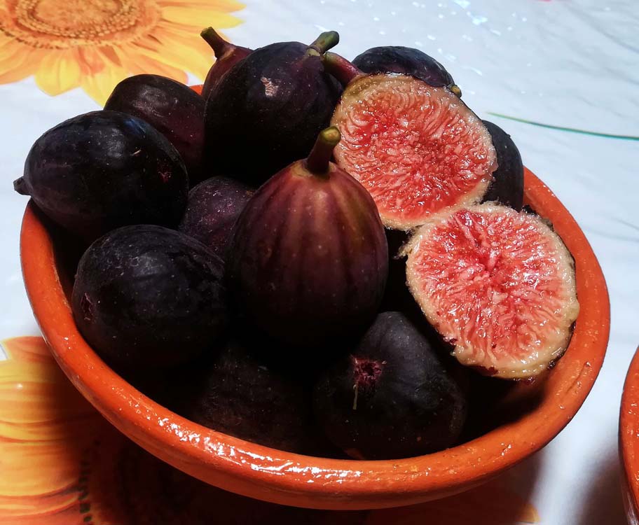Se llevará a cabo el próximo 10 de agosto. (Cortesía)