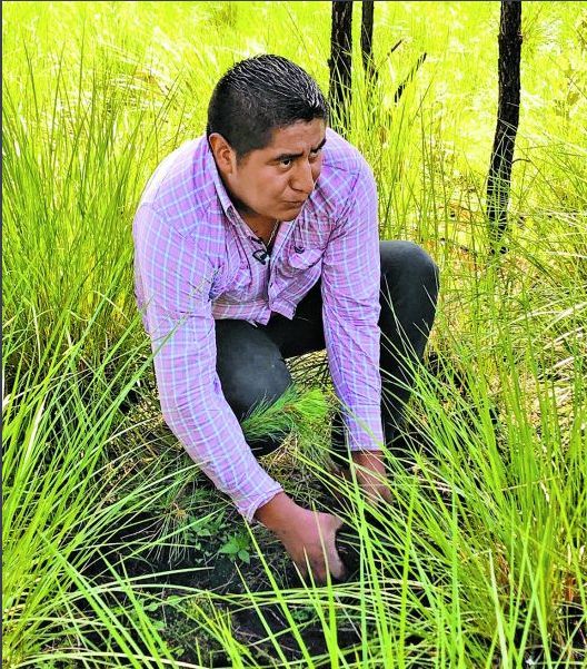 El activista acude a las jornadas de reforestación.