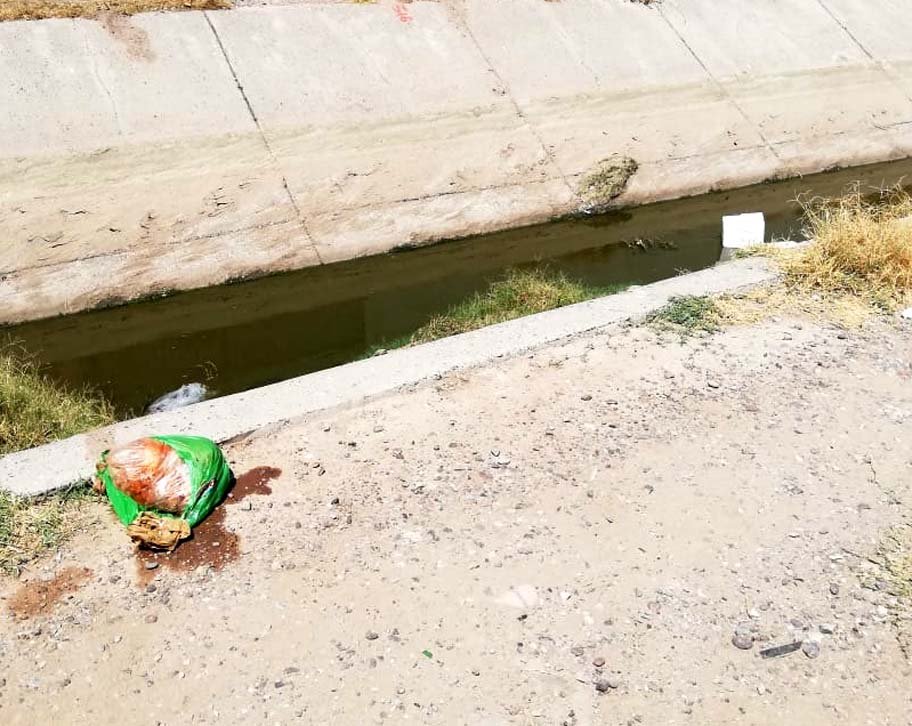 Se encontraban en descomposición, por lo que el olor confundió a los vecinos. (Milenio Digital)