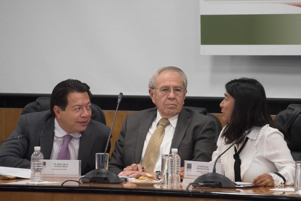 Jorge Alcocer (centro) en las audiencias públicas sobre la reforma al sistema de salud | Cuarstoscuro