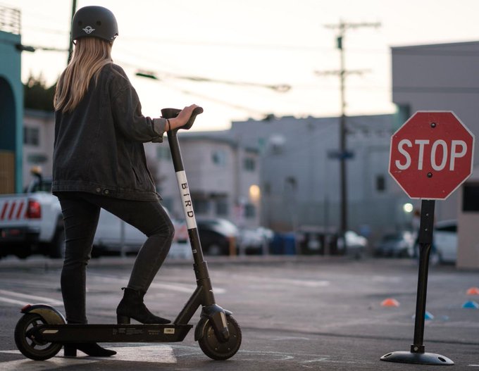 Scooters de Bird. (Tomado de @BirdRide)