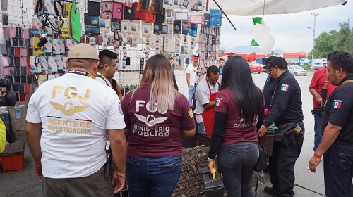 Con apoyo de fuerzas federales. (Especial)