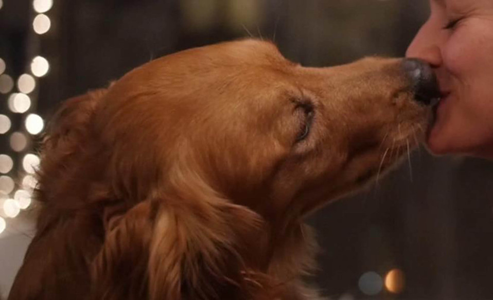Evita enfermedades, no beses a tu perro o gato, solo apapáchalo (Cortesía UNAM)