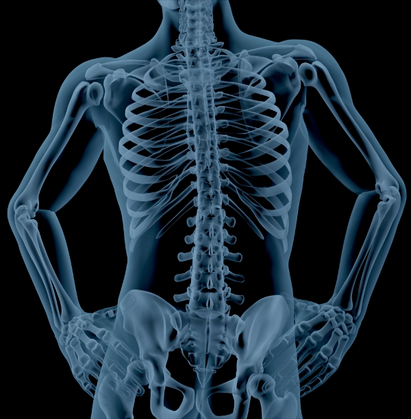 El pene de hueso es una rara condición médica de la que sólo hay 40 casos registrados. (Shutterstock)