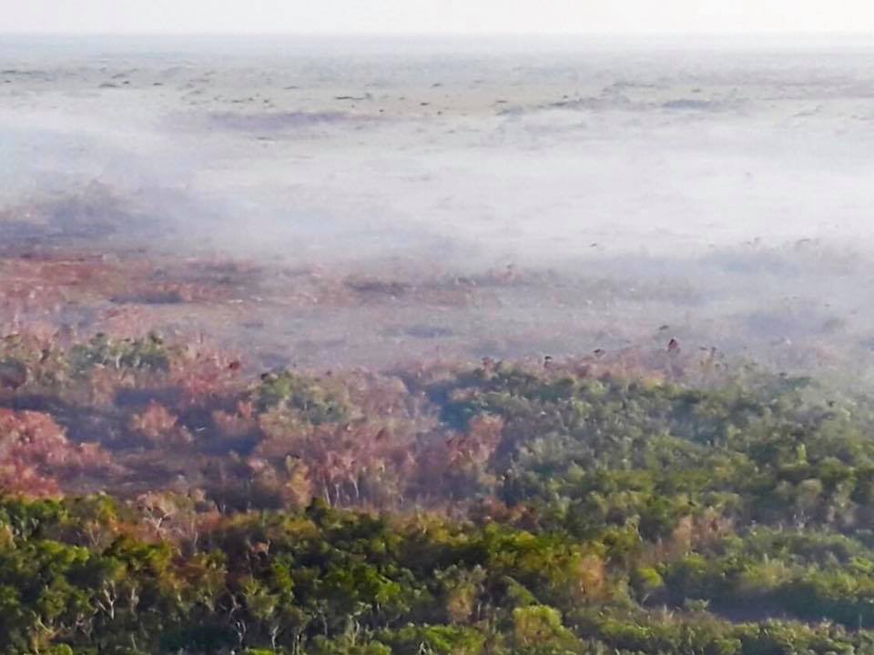 Suman mil 85 hectáreas afectadas por incencio en Sian Ka'an. (Semaqroo)
