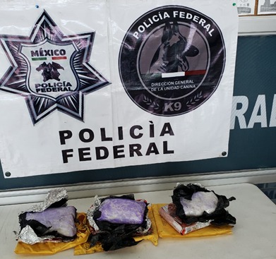 Lo asegurado fue puesto a disposición del Agente del Ministerio Público de la Federación./ Especial