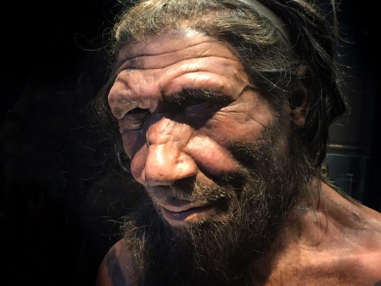 Neandertales podrían haber tenido 'oído de surfista' (Especial).
