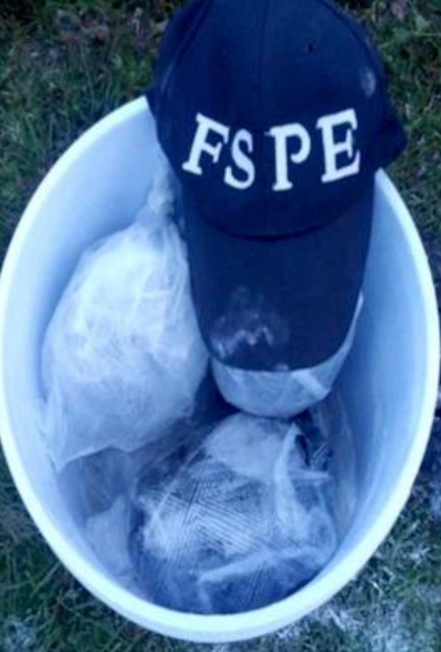 Aseguran droga en municipio de Guanajuato