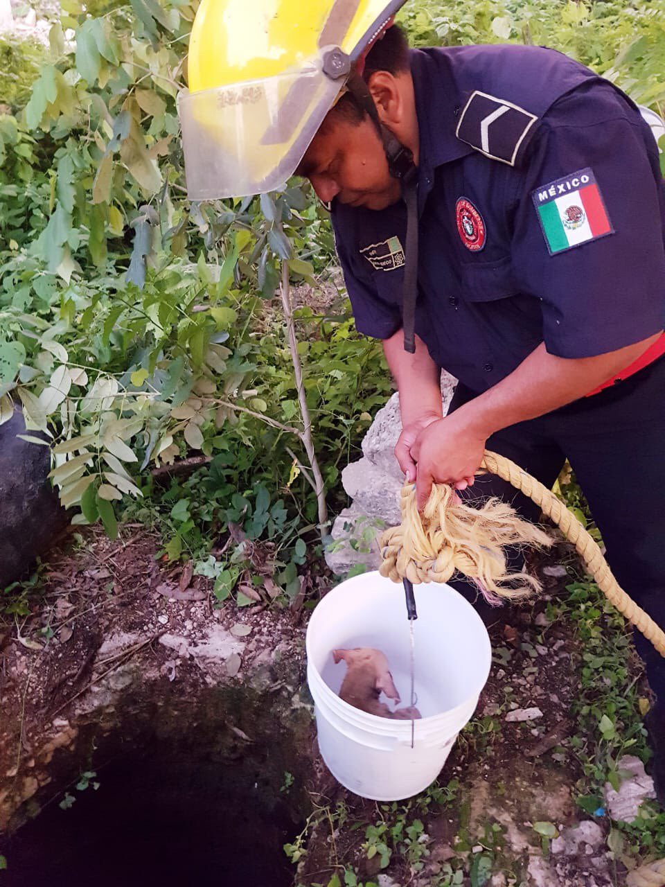 Los elementos de la SSP crearon un arnés con una cubeta y mecate para sacarla. (Foto: Twitter Mauricio Vila)