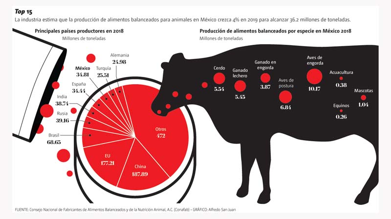 Alimentos balanceados.