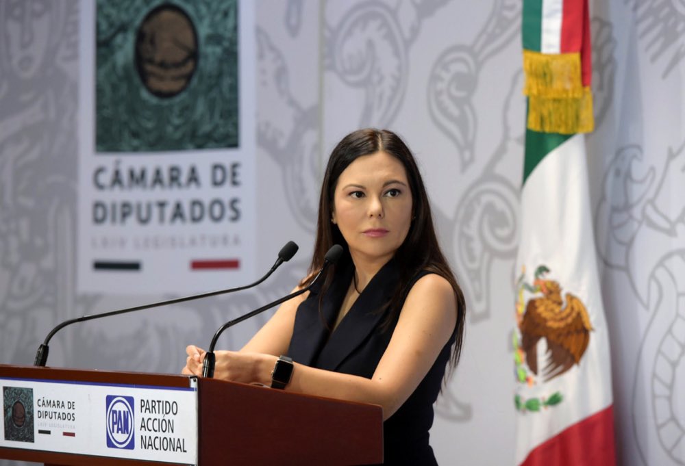 Laura Rojas, diputada del PAN (@Laura_Rojas_)