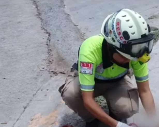 No se dio a conocer la identidad de la víctima. Foto: Especial.