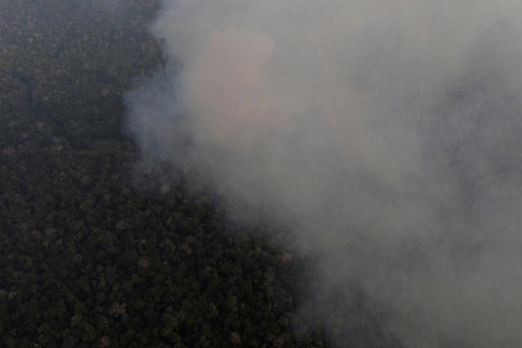 La Amazonia contiene un tercio de los bosques primarios del mundo y, a través del río Amazonas y sus afluentes, proporciona el 20% del agua dulce.